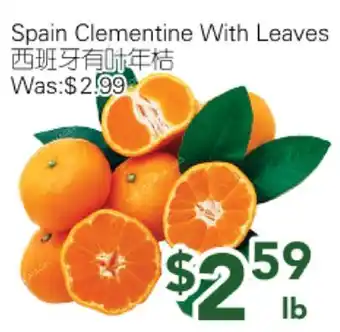 Ample Food Market Spain Clementine with Leaves offer