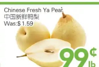 Ample Food Market Chinese Fresh Ya Pear offer