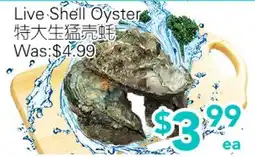 Ample Food Market Live Shell Oyster offer