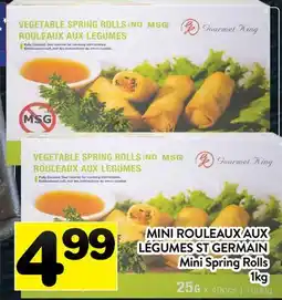 Supermarché PA MINI ROULEAUX AUX LÉGUMES ST GERMAIN | Mini Spring Rolls offer