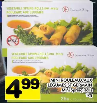 Supermarché PA MINI ROULEAUX AUX LÉGUMES ST GERMAIN | Mini Spring Rolls offer