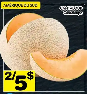 Supermarché PA CANTALOUP | CANTALOUPE offer