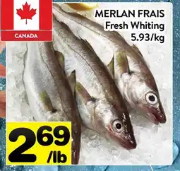 Supermarché PA MERLAN FRAIS | Fresh Whiting offer