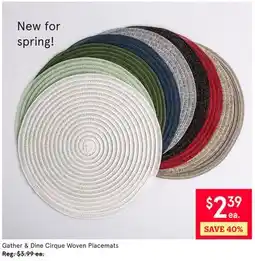 Kitchen Stuff Plus Cirque Woven Placemats offer