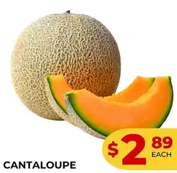 Iqbal Foods Cantaloupe offer