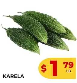 Iqbal Foods Karela offer