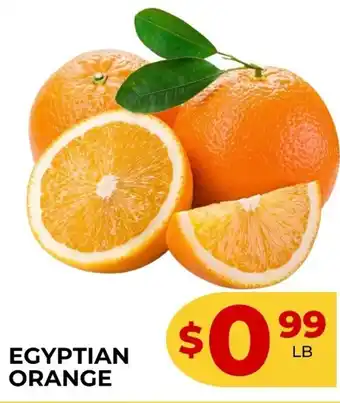 Iqbal Foods Egyptian orange offer