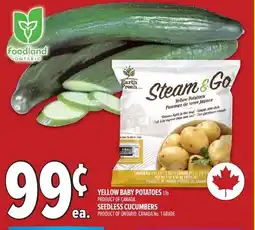 Metro Yellow baby potatoes offer