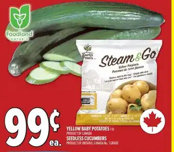 Metro Seedless cucumbers offer