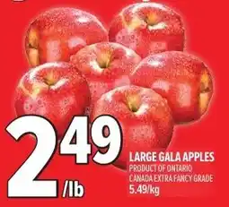 Metro Large gala apples offer