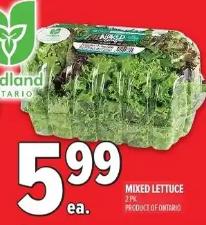 Metro Mixed lettuce offer