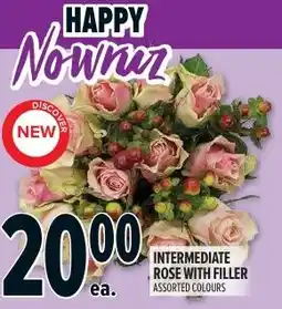 Metro Intermediate rose with filler offer