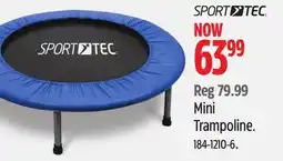 Canadian Tire Sport Tec Mini Trampoline offer