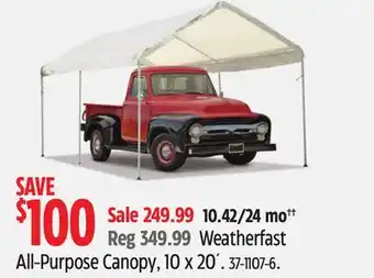 Canadian Tire All-Purpose Canopy offer