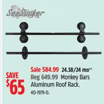 Canadian Tire SeaSucker Monkey Bars Aluminum Roof Rack offer