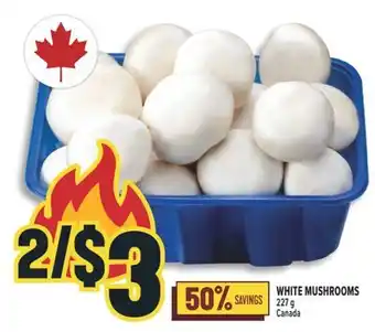 Marché Adonis WHITE MUSHROOMS offer