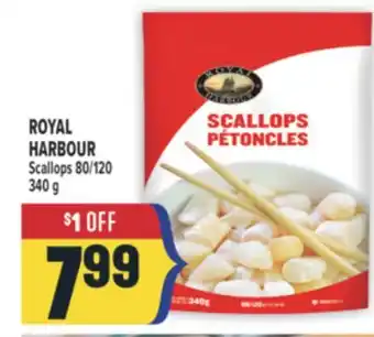 Marché Adonis ROYAL HARBOUR Scallops 80/120 offer