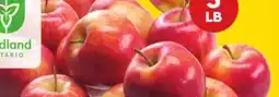 Giant Tiger 3 lb Fuji apples offer