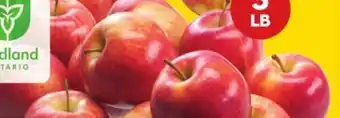 Giant Tiger 3 lb Fuji apples offer