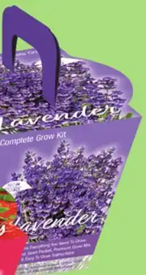 Giant Tiger Lavender grow kit offer