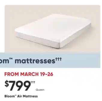 Sleep Country Bloom Air Mattress offer