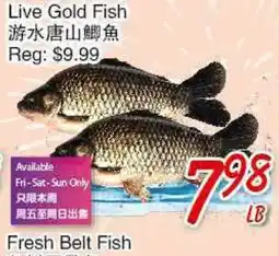 Foody Mart Live Gold Fish offer