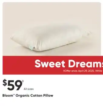 Sleep Country Bloom Organic Cotton Pillow offer