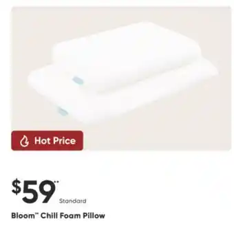 Sleep Country Bloom Chill Foam Pillow offer