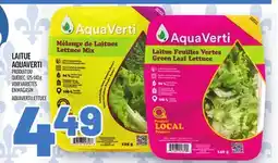 Metro LAITUE AQUAVERTI | AQUAVERTI LETTUCE offer