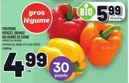 Metro POIVRONS ROUGES, ORANGE OU JAUNES DE SERRE | HOTHOUSE RED, ORANGE OR YELLOW PEPPERS offer