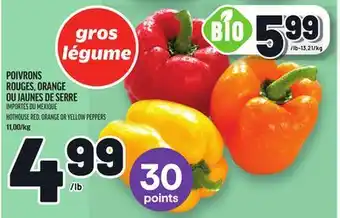 Metro POIVRONS ROUGES, ORANGE OU JAUNES DE SERRE | HOTHOUSE RED, ORANGE OR YELLOW PEPPERS offer