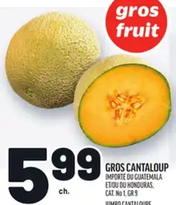 Metro GROS CANTALOUP | JUMBO CANTALOUPE offer