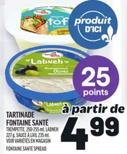 Metro TARTINADE FONTAINE SANTÉ | FONTAINE SANTÉ SPREAD offer