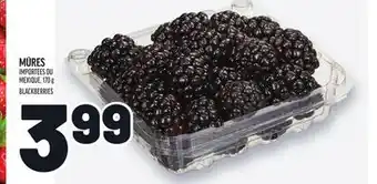 Metro MÛRES | BLACKBERRIES offer