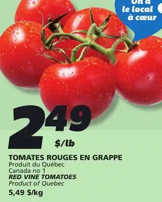 IGA RED VINE TOMATOES offer