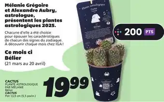 IGA CACTUS offer