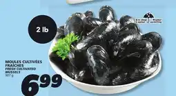 IGA FRESH CULTIVATED MUSSELS offer