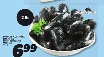 IGA FRESH CULTIVATED MUSSELS offer