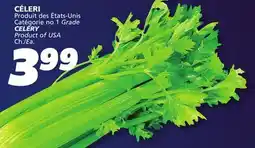 IGA CELERY offer