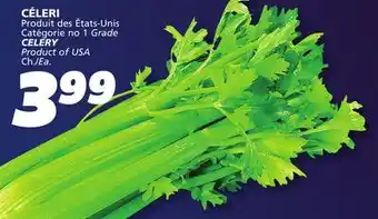 IGA CELERY offer