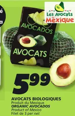 IGA ORGANIC AVOCADOS offer