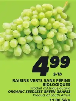 IGA ORGANIC SEEDLESS GREEN GRAPES offer