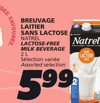 IGA NATREL LACTOSE-FREE MILK BEVERAGE offer