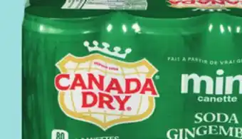 IGA CANADA DRY offer