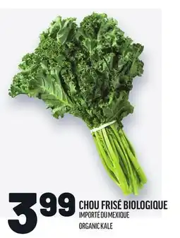 Metro CHOU FRISÉ BIOLOGIQUE | ORGANIC KALE offer