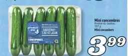 Marché Richelieu MINI CONCOMBRES | MINI CUCUMBERS offer