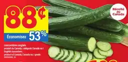 Maxi CONCOMBRES ANGLAIS | ENGLISH CUCUMBERS offer