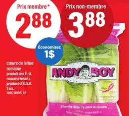 Maxi CŒURS DE LAITUE ROMAINE | ROMAINE HEARTS, 3 UN offer