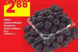 Maxi MÛRES | BLACKBERRIES, 170 G offer