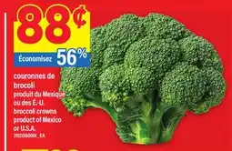 Maxi COURONNES DE BROCOLI | BROCCOLI CROWNS offer